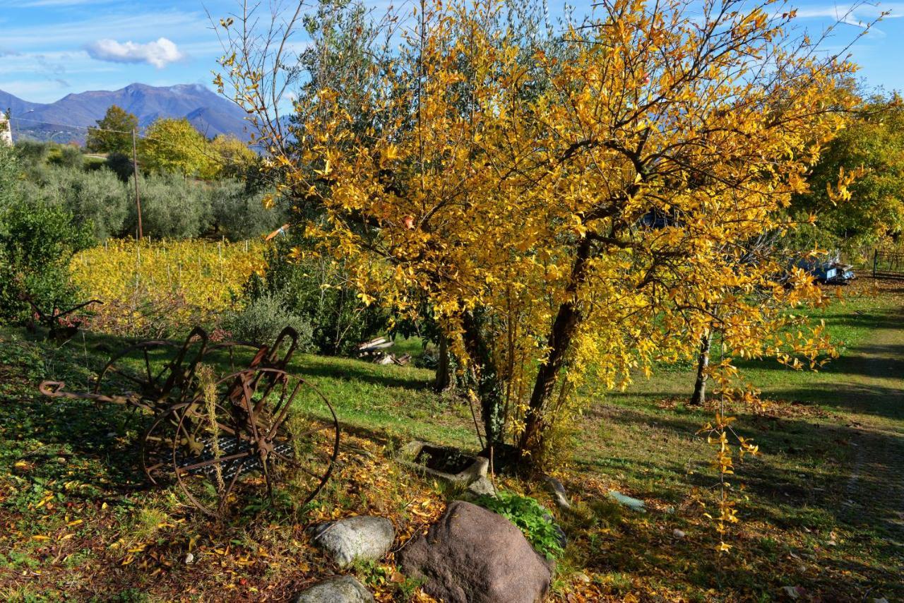 Antiche Mura Casa Vacanze Puegnago Bagian luar foto